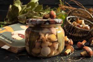 Рецепты самых вкусных маринованных грибов