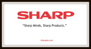Sharp Minds, Sharp products